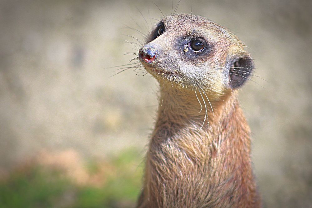 Photograph by Эдуард Попов