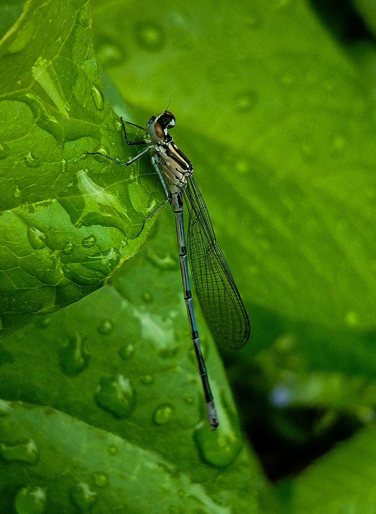Фотография автора Валерия