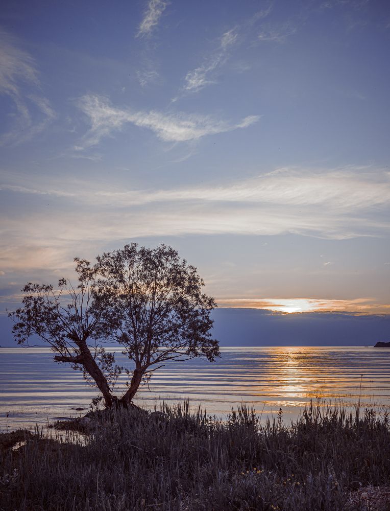 Photograph by Sergey Palchikov