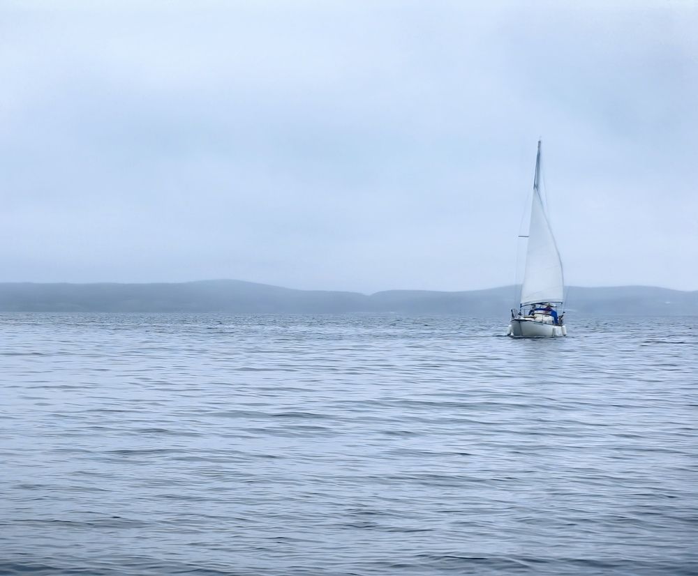 Photograph by Ольга Рыбалова