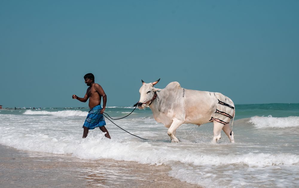 Bull's Rest: A Seaside Soak