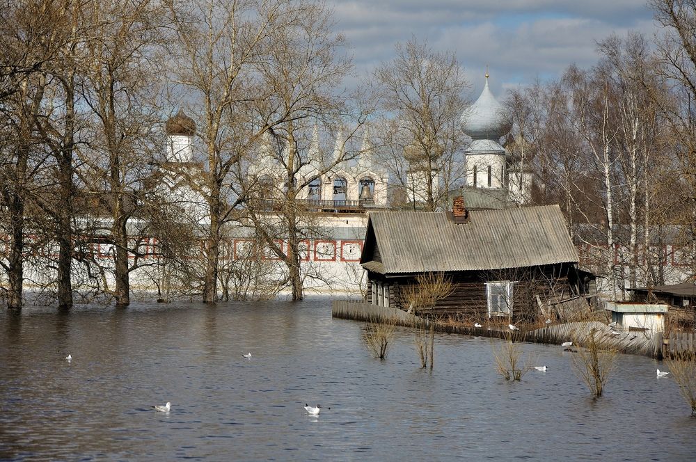 Photograph by Игорь Овсиенко
