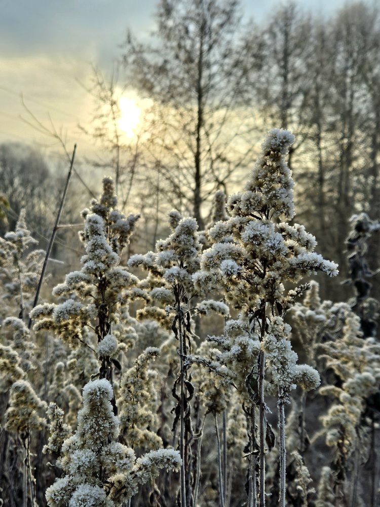 Photograph by Ирина Головина