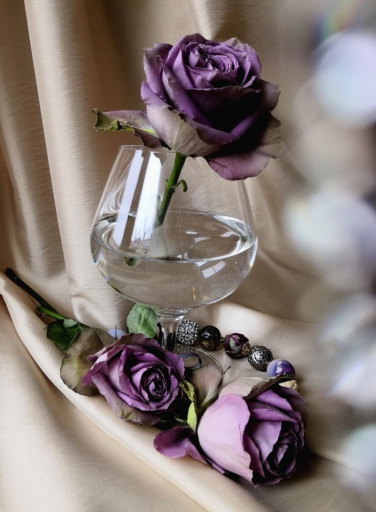Photograph by Ирина Головина