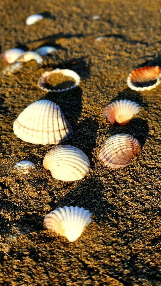 Photograph by Ирина Головина
