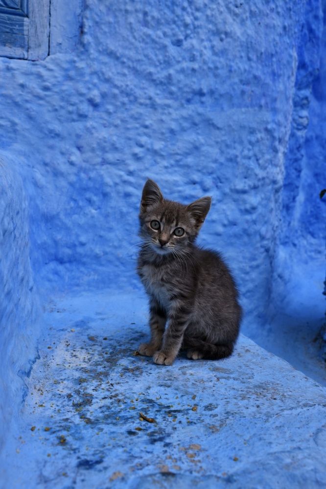 Photograph by Ольга Одаренко