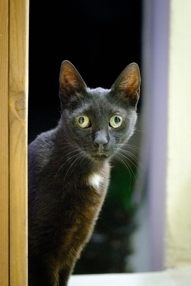 Photograph by Maxim Lip