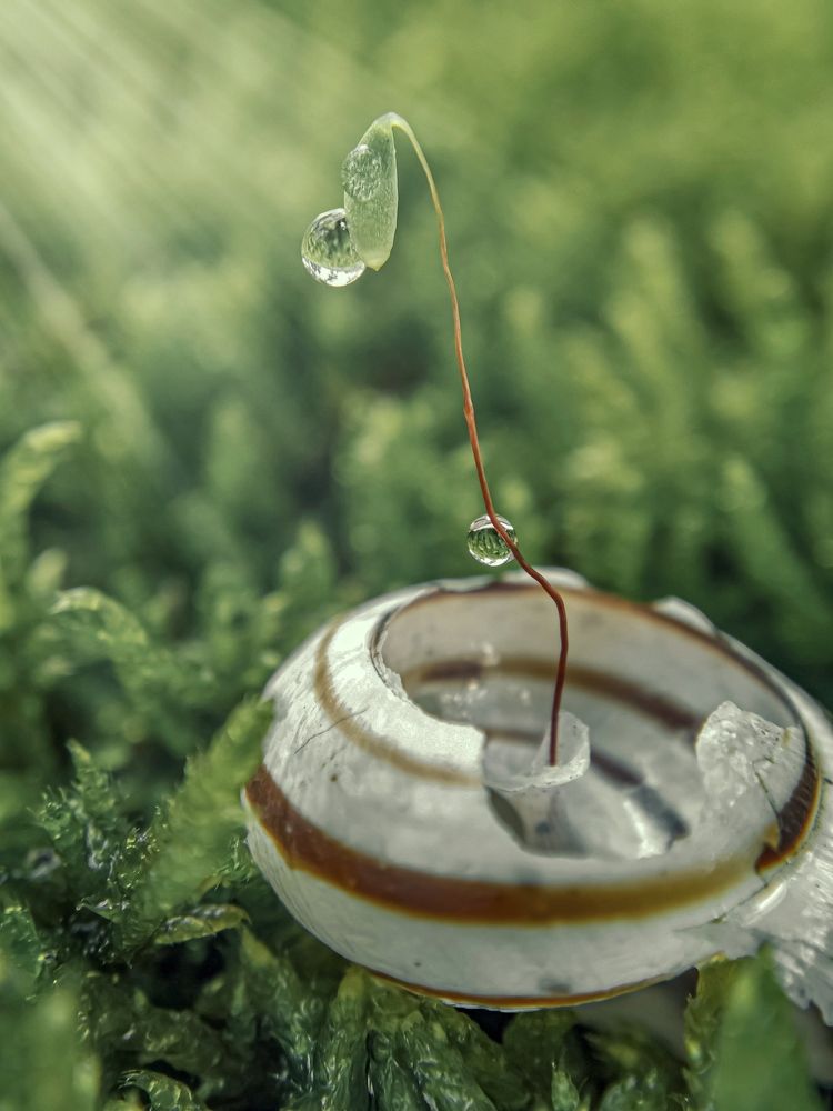 Желание:"Жить!"