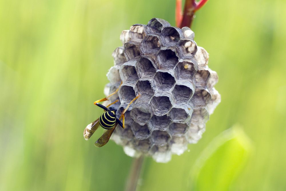 Photograph by Аlessandro