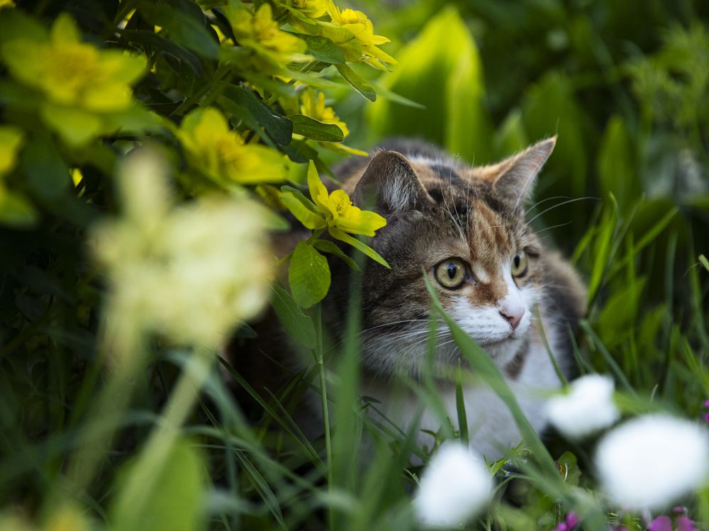Photograph by Георгий Горшков