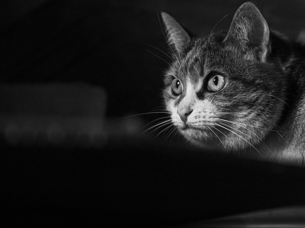 Photograph by Георгий Горшков