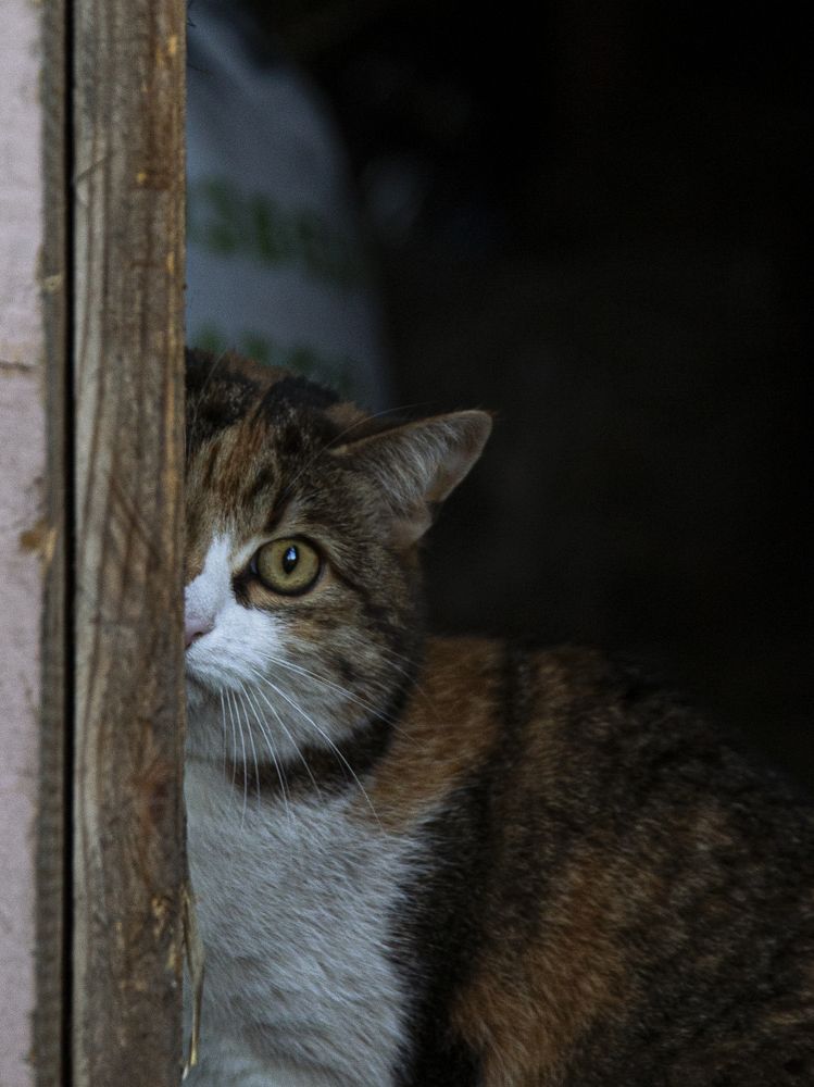 Photograph by Георгий Горшков