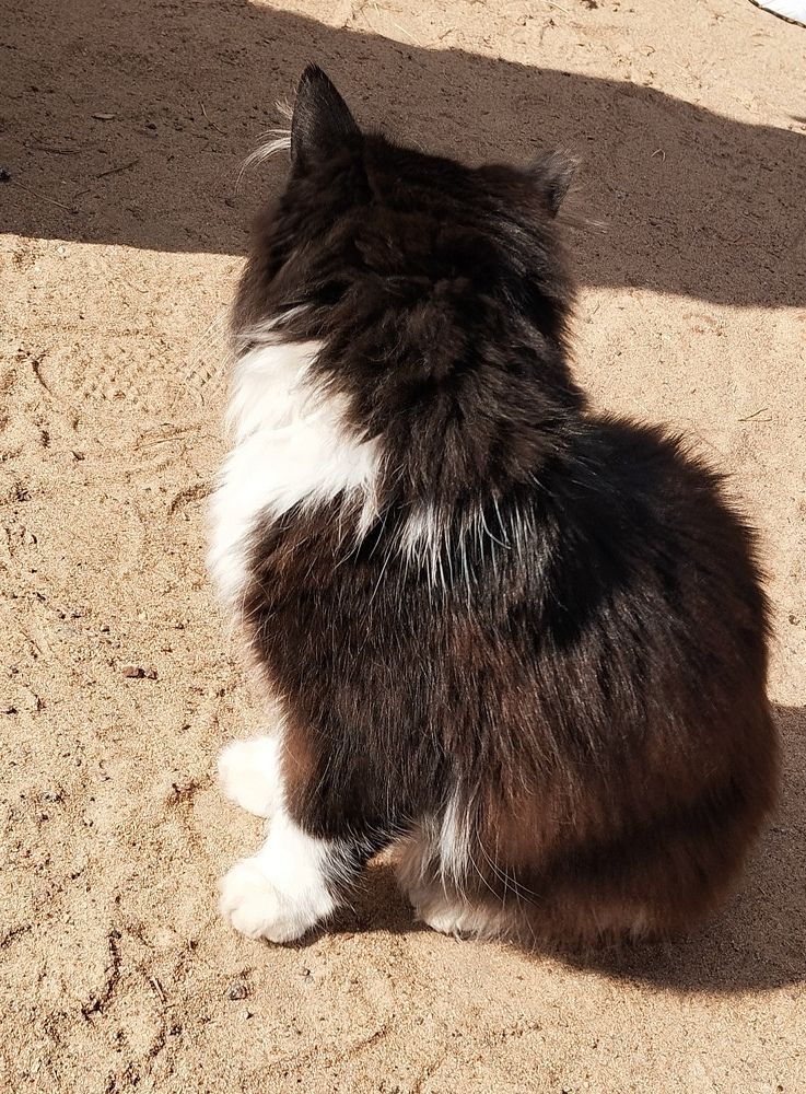 Photograph by Любовь Макарова