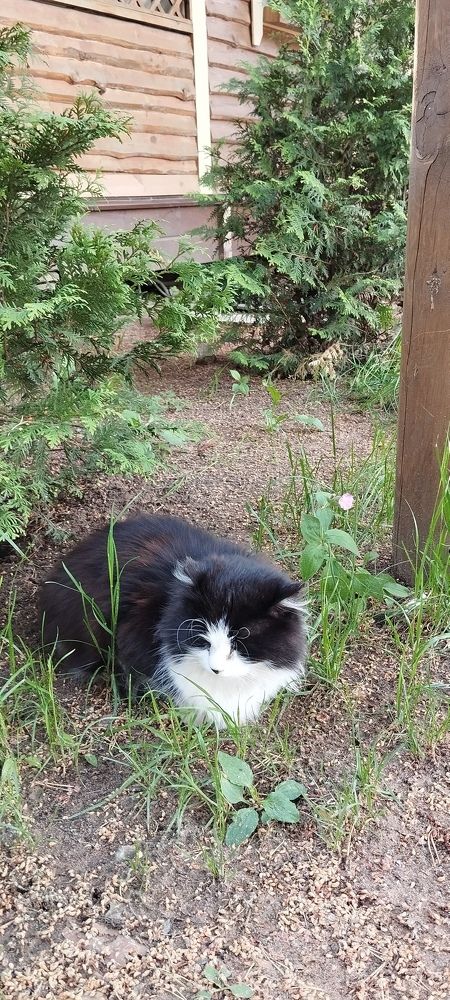 Photograph by Любовь Макарова