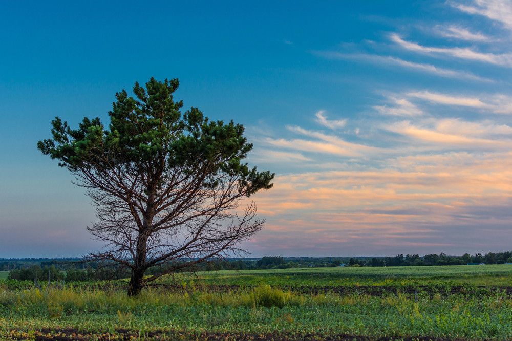 Photograph by Людмила Прибылова