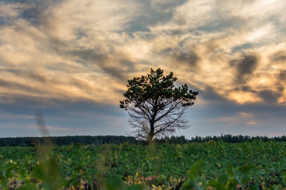 Photograph by Людмила Прибылова