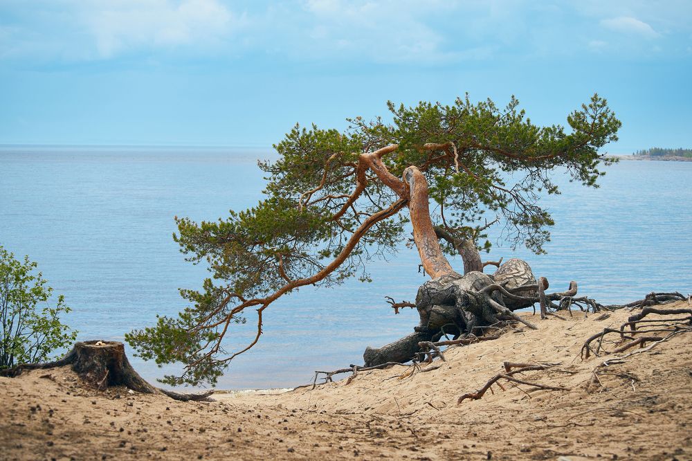 Photograph by Дмитрий Лепаков