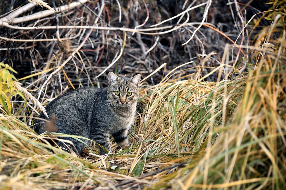 Photograph by Оксана Астрова