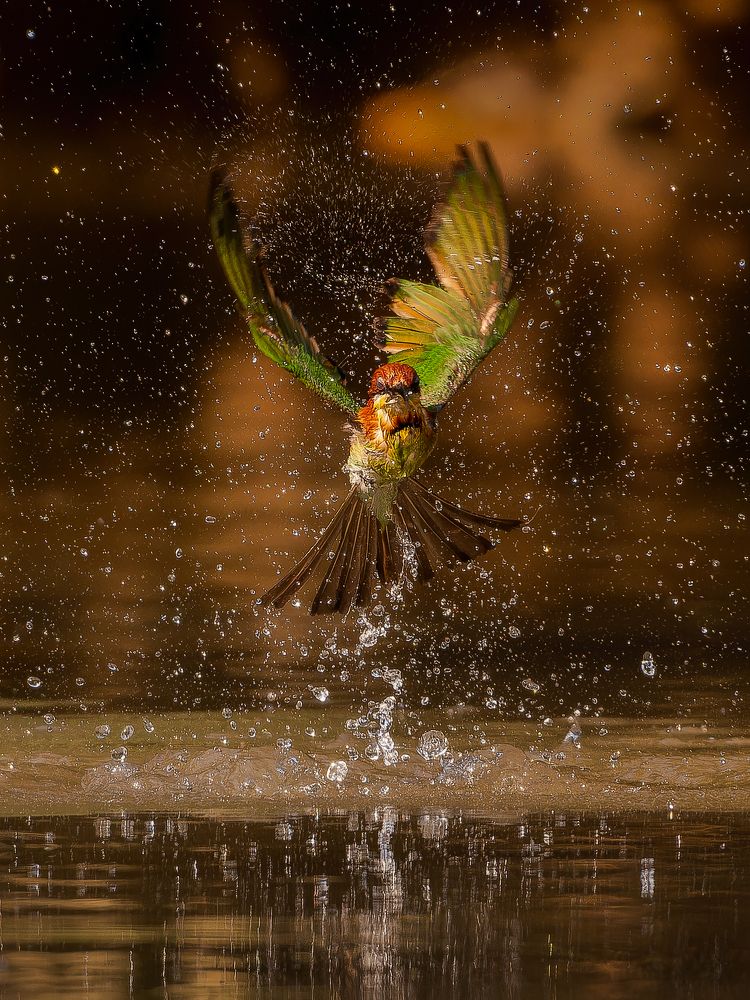 Photograph by Prince Paul Joy