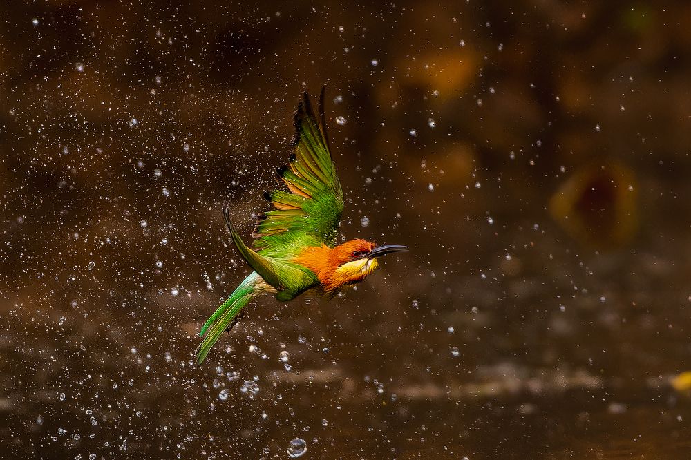 Photograph by Prince Paul Joy