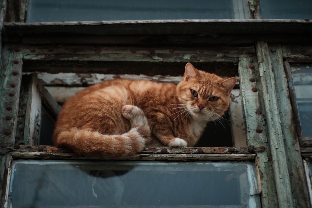 Photograph by Иванов Виктор