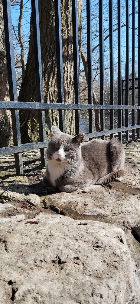 Photograph by Любовь Макарова