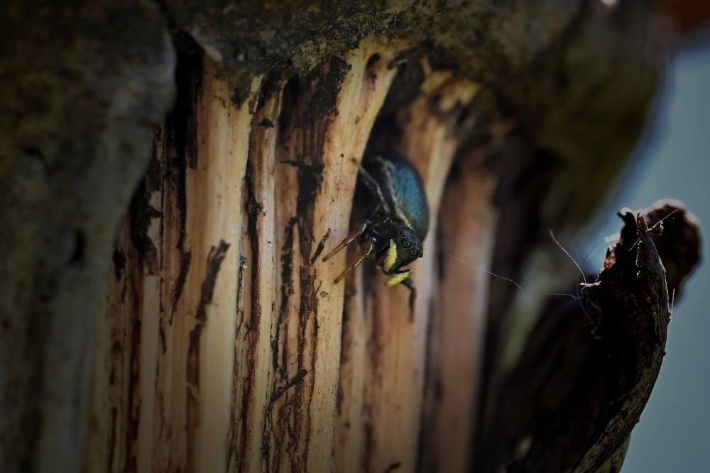 Photograph by Алексей Гордеев