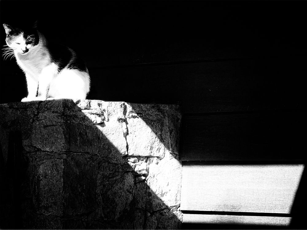 Photograph by Jereissati Demetrio