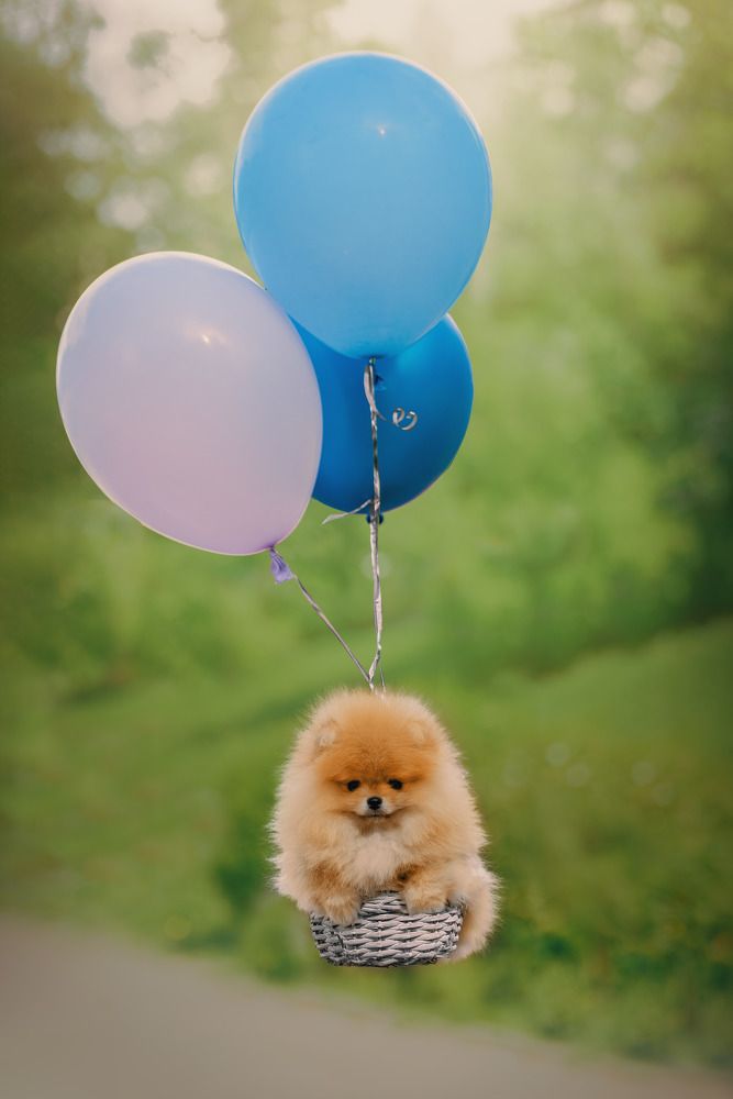 Photograph by Екатерина Котик