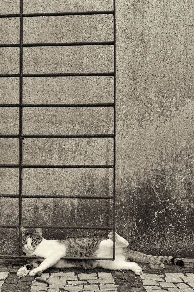 Photograph by Jereissati Demetrio