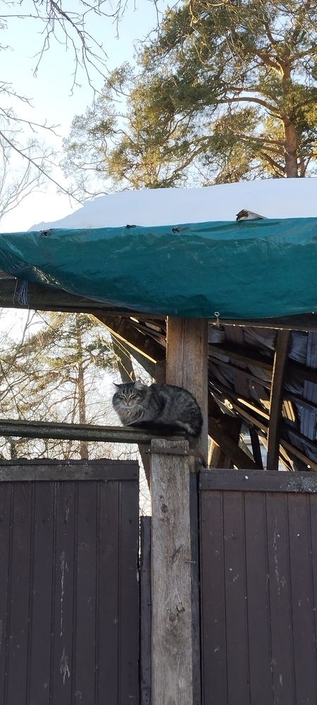 Photograph by Любовь Макарова