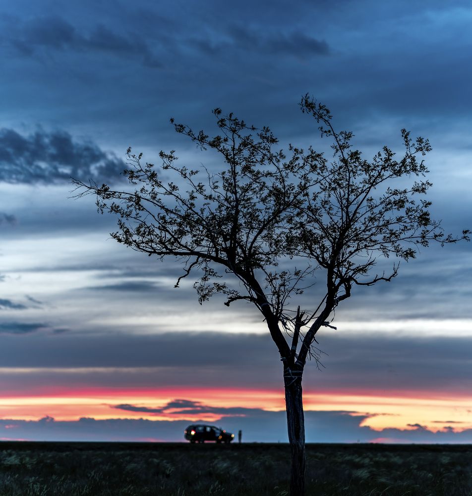 Photograph by Igor Yurkin