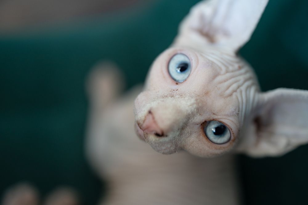 Photograph by Татьяна Москаленко