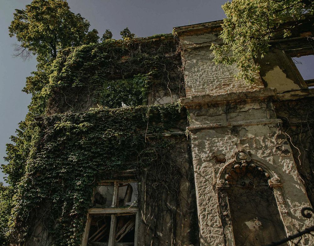 Photograph by Taтьяна Войлокова