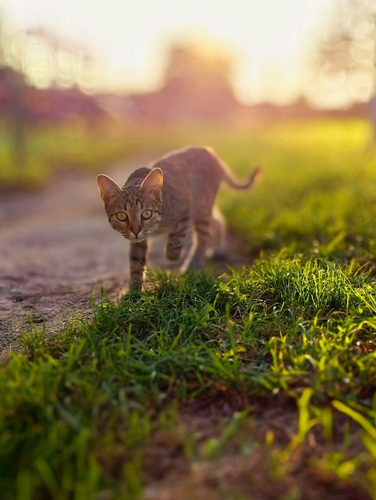 Photograph by Ekaterina Fadeeva