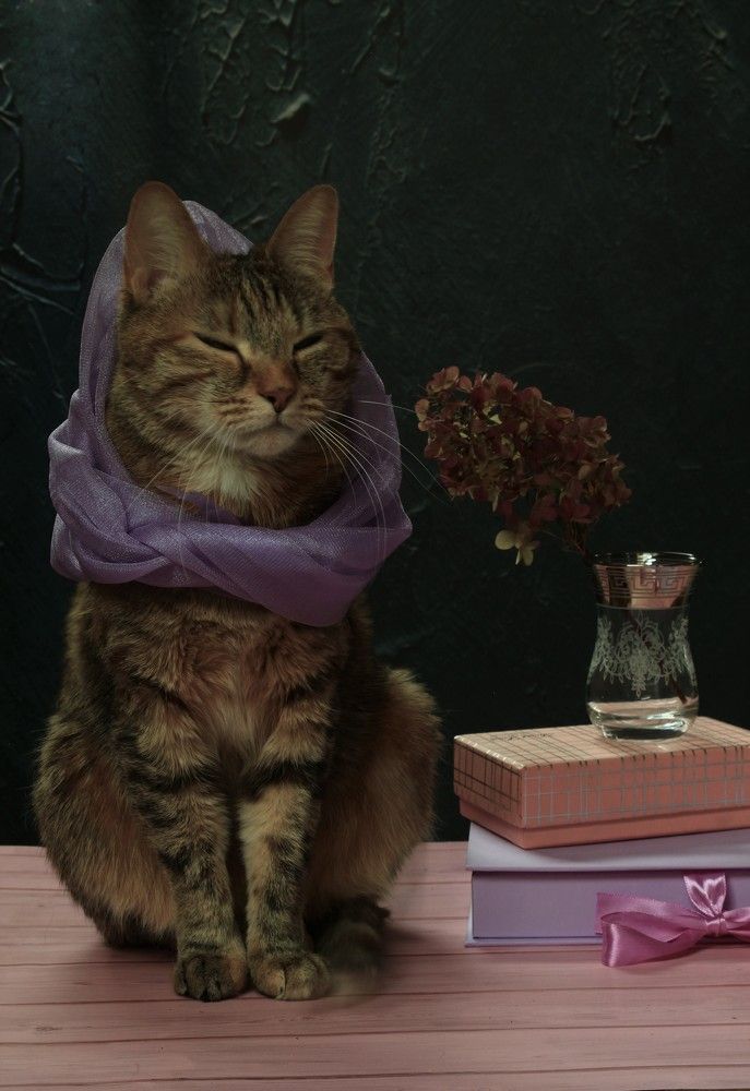 Photograph by Кира Иванова