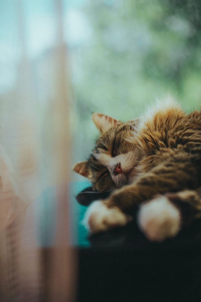 Photograph by Grisha Marvin