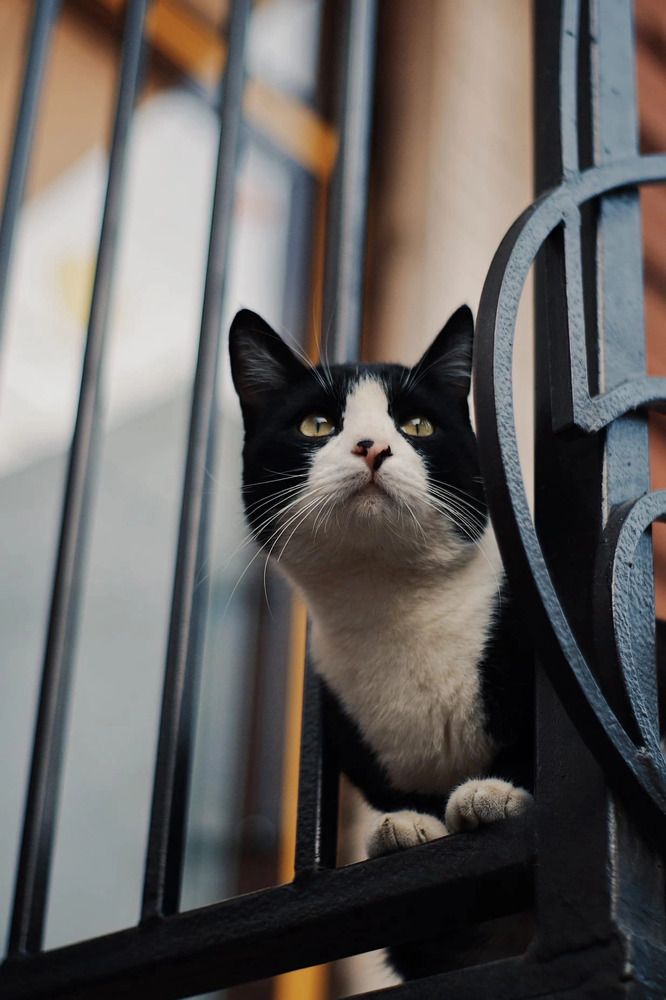 Photograph by Grisha Marvin