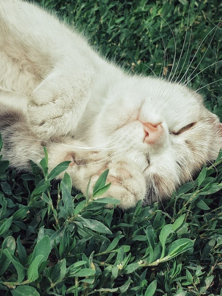 Photograph by Нина Москалёва