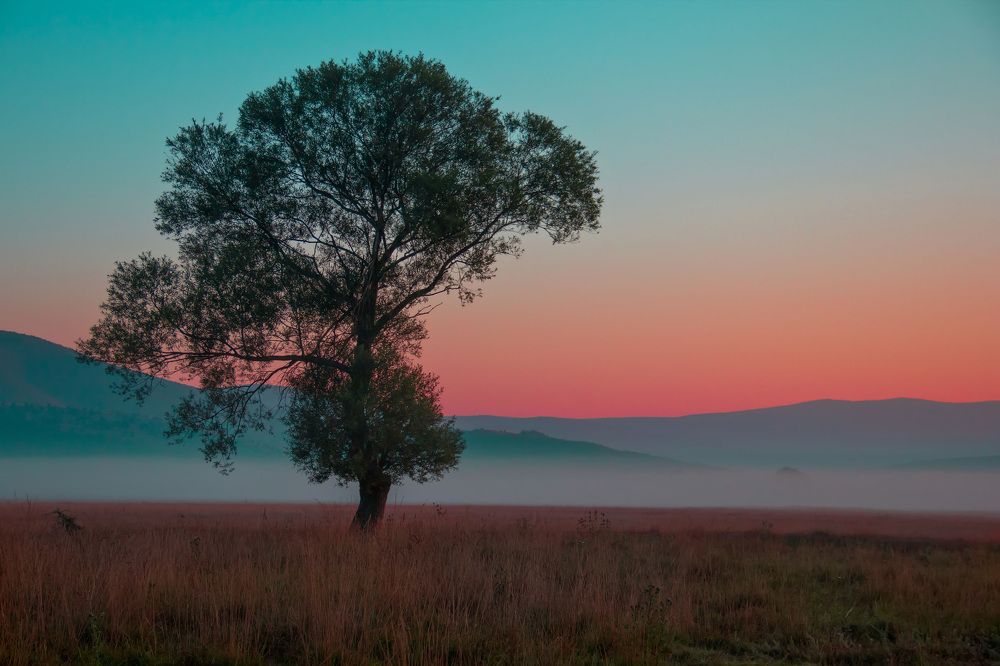 Photograph by Игорь Квочка