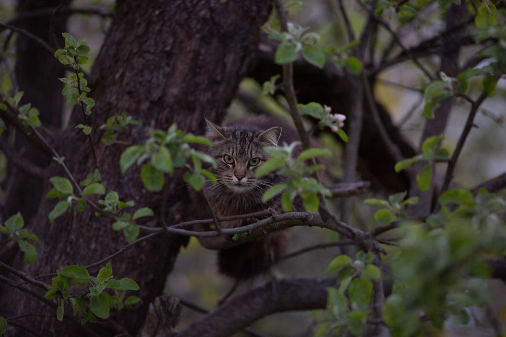 Photograph by Марина Сосновская