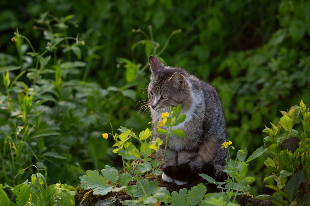 Photograph by Марина Сосновская