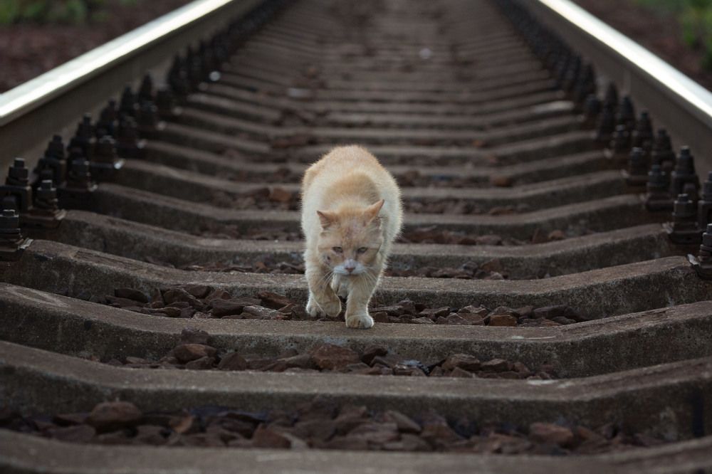 Photograph by Марина Сосновская