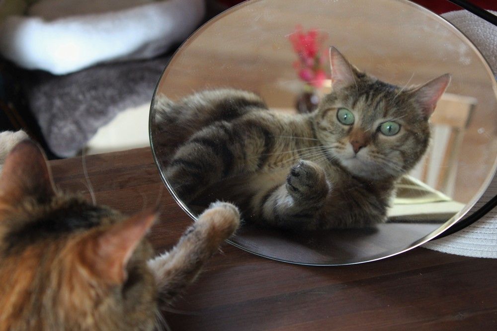 Photograph by Кира Иванова