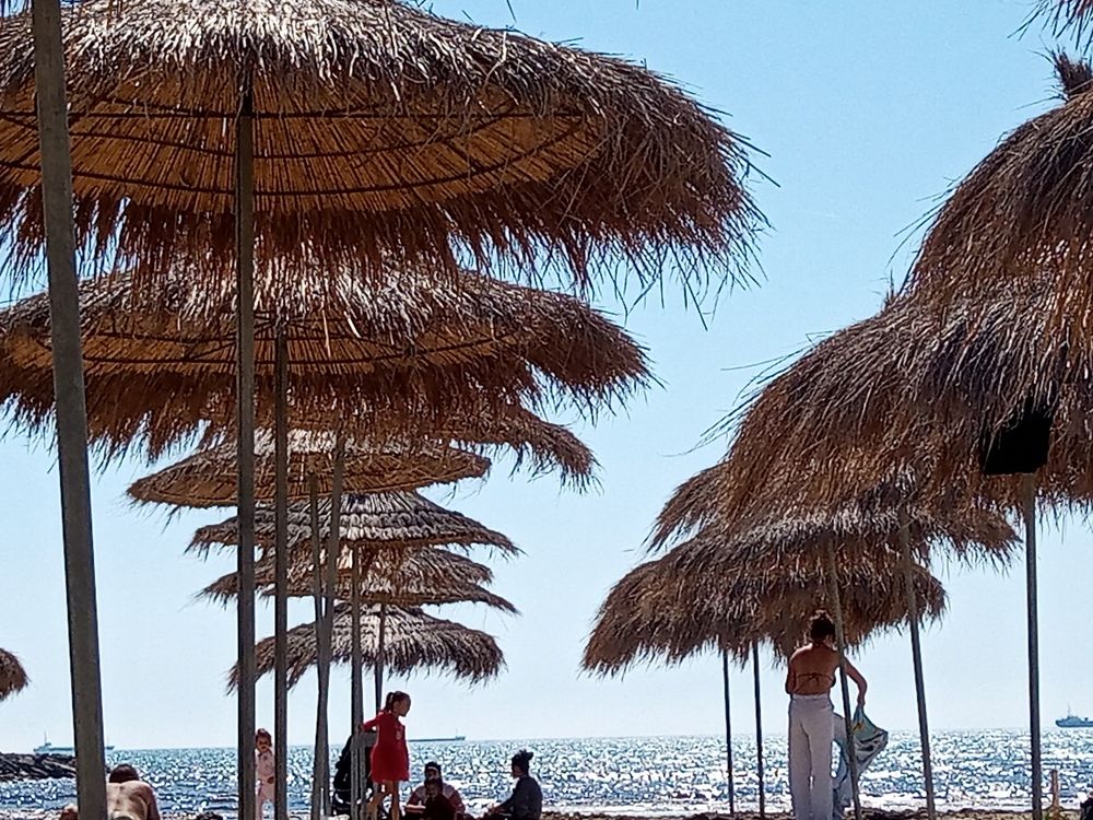 Фотография автора Edmundo Figueiredo Soares Junior