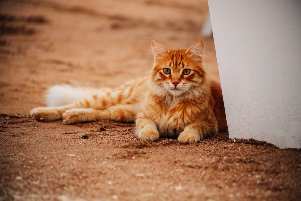 Photograph by Анна Зенкина