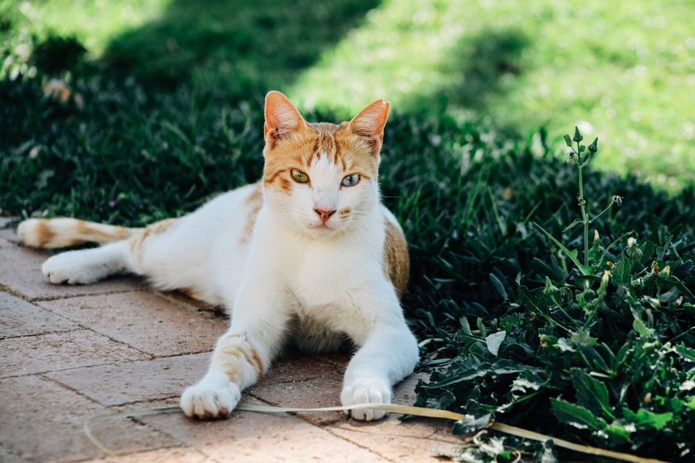 Photograph by Анна Зенкина