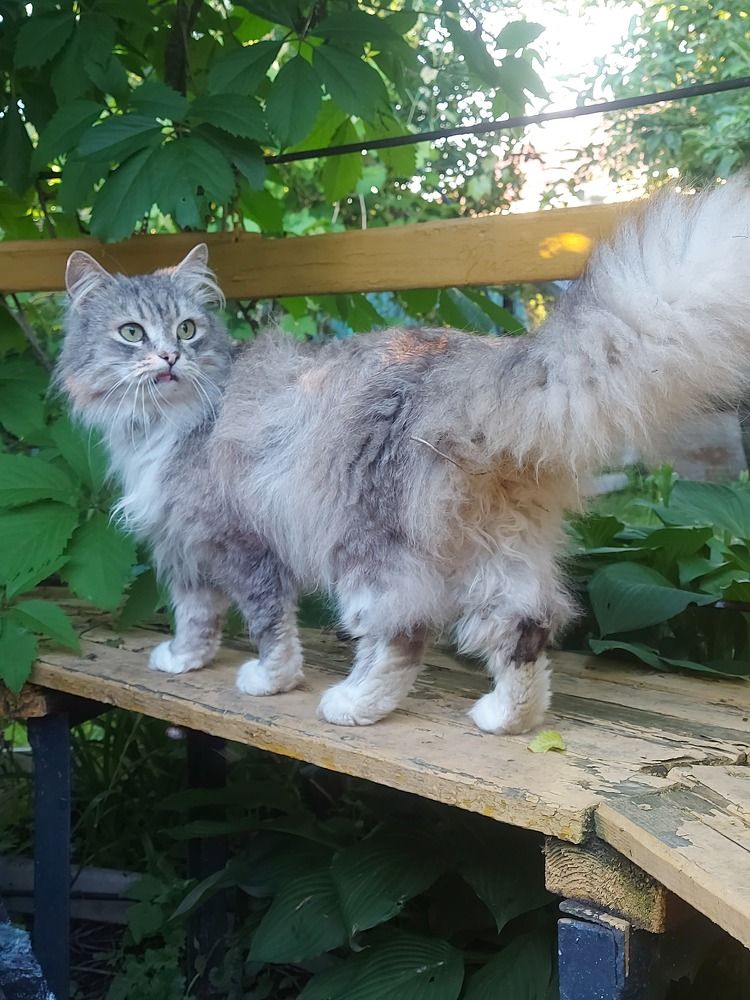 Photograph by Мария Тафеенко