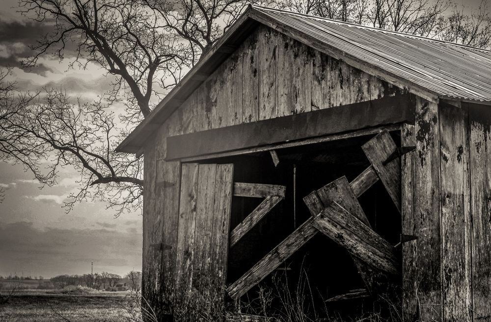 Photograph by John J Savala