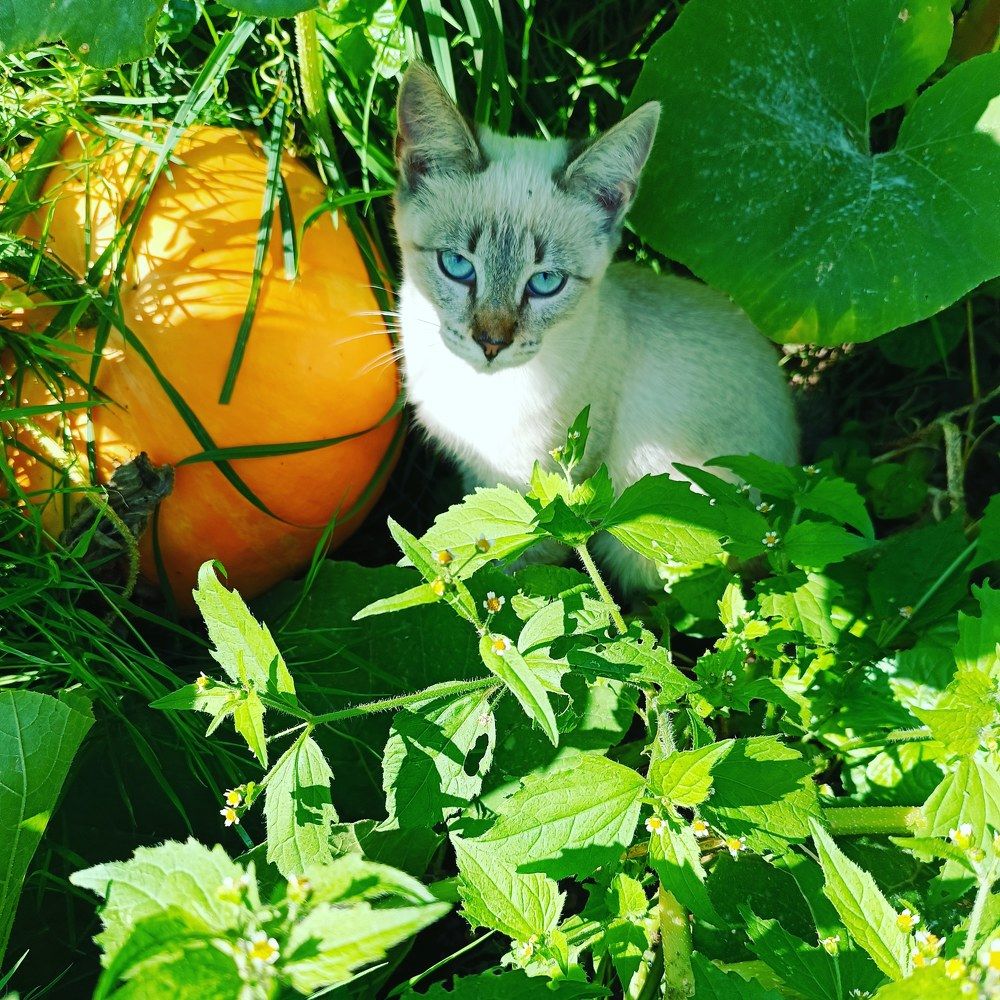 Photograph by Olga Kot